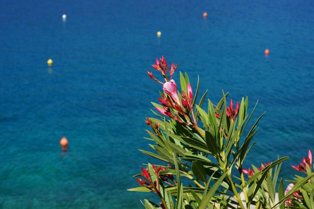 Studio Apartment Michelle - Intermezzo With Sea View Rabac Exterior photo